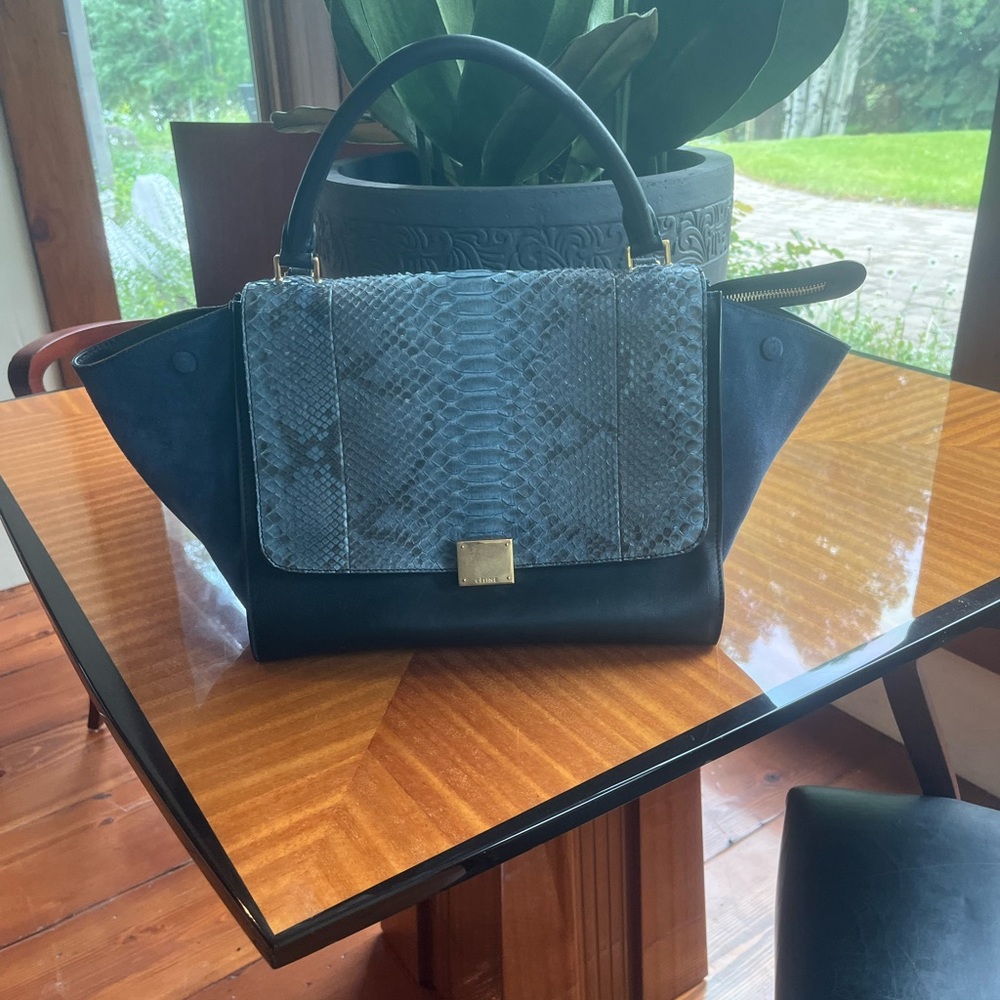 Celine Python Suede Trapèze Suede Leather handbag( Top Handle and Strap).